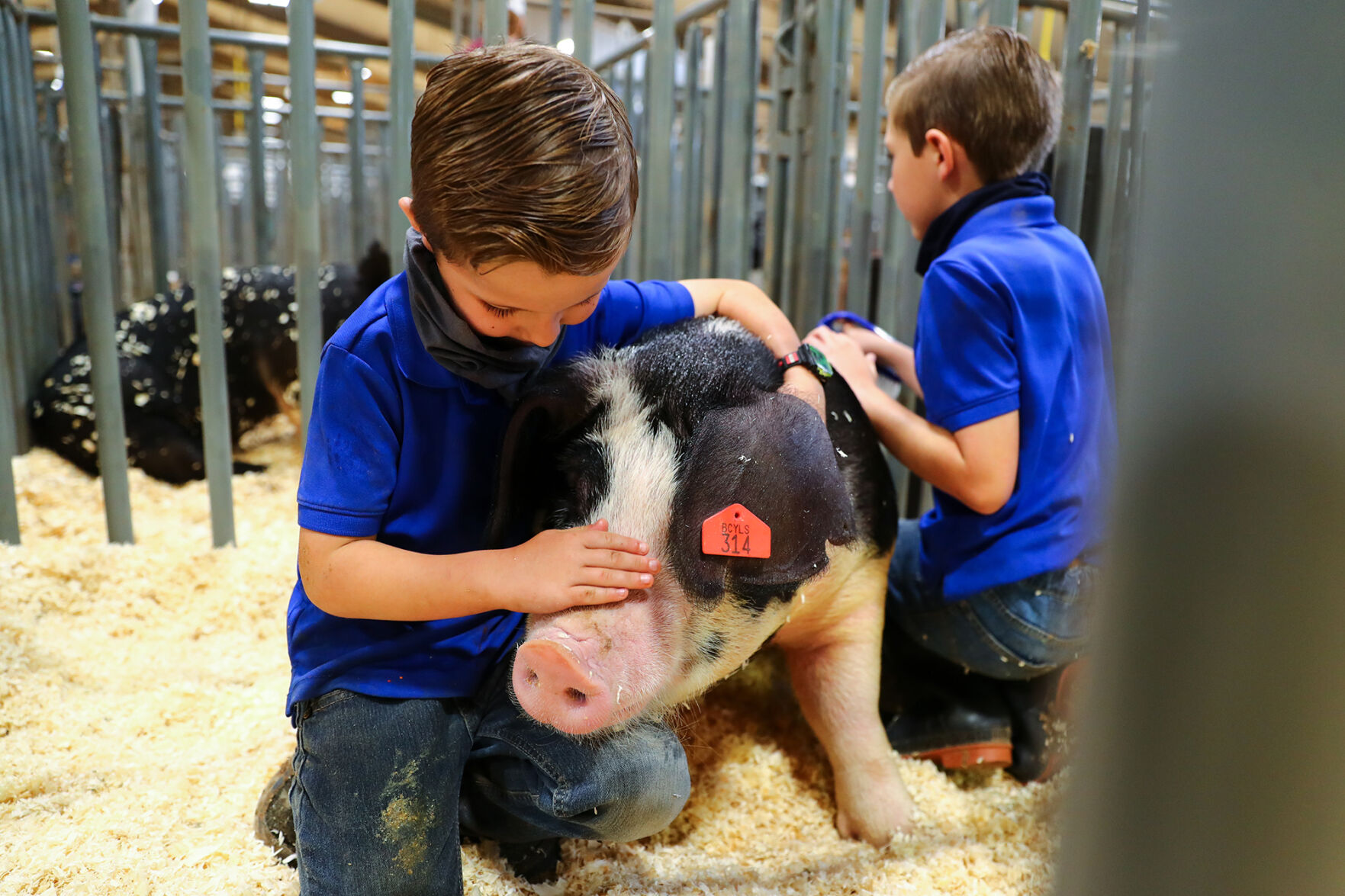 Brazos Valley Youth Livestock Show